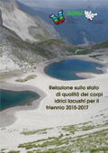 laghi 2015 2017 ico