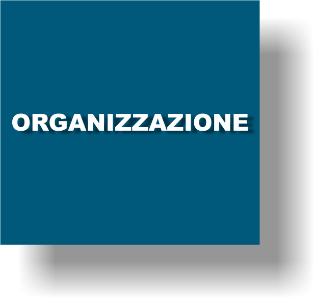 02 ORGANIZZAZIONE