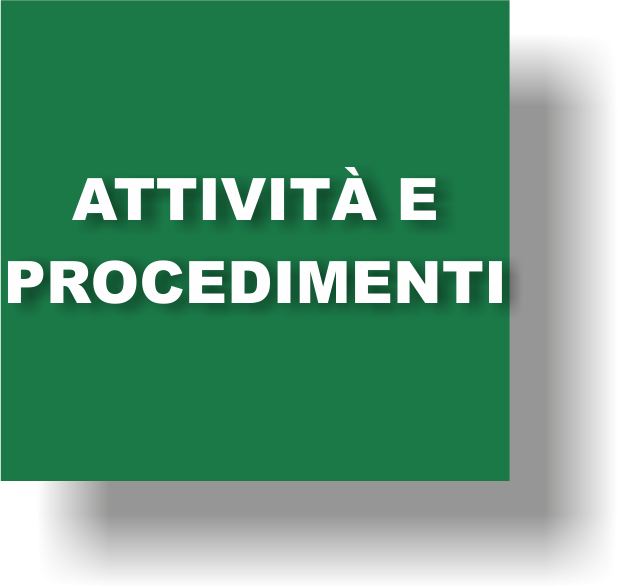 08 ATTIVITA PROCEDIMENTI