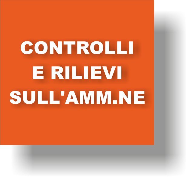 15 CONTROLLI RILIEVI