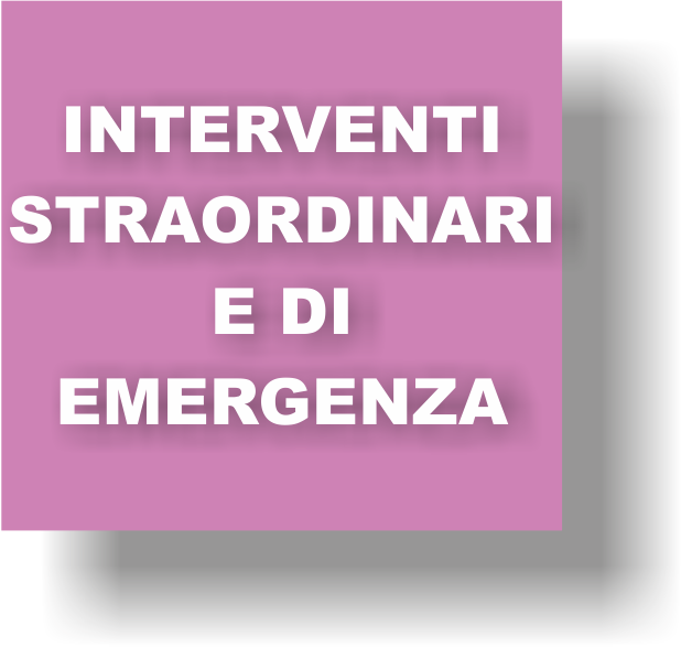 22 INTERVENTI STRAORDINARI