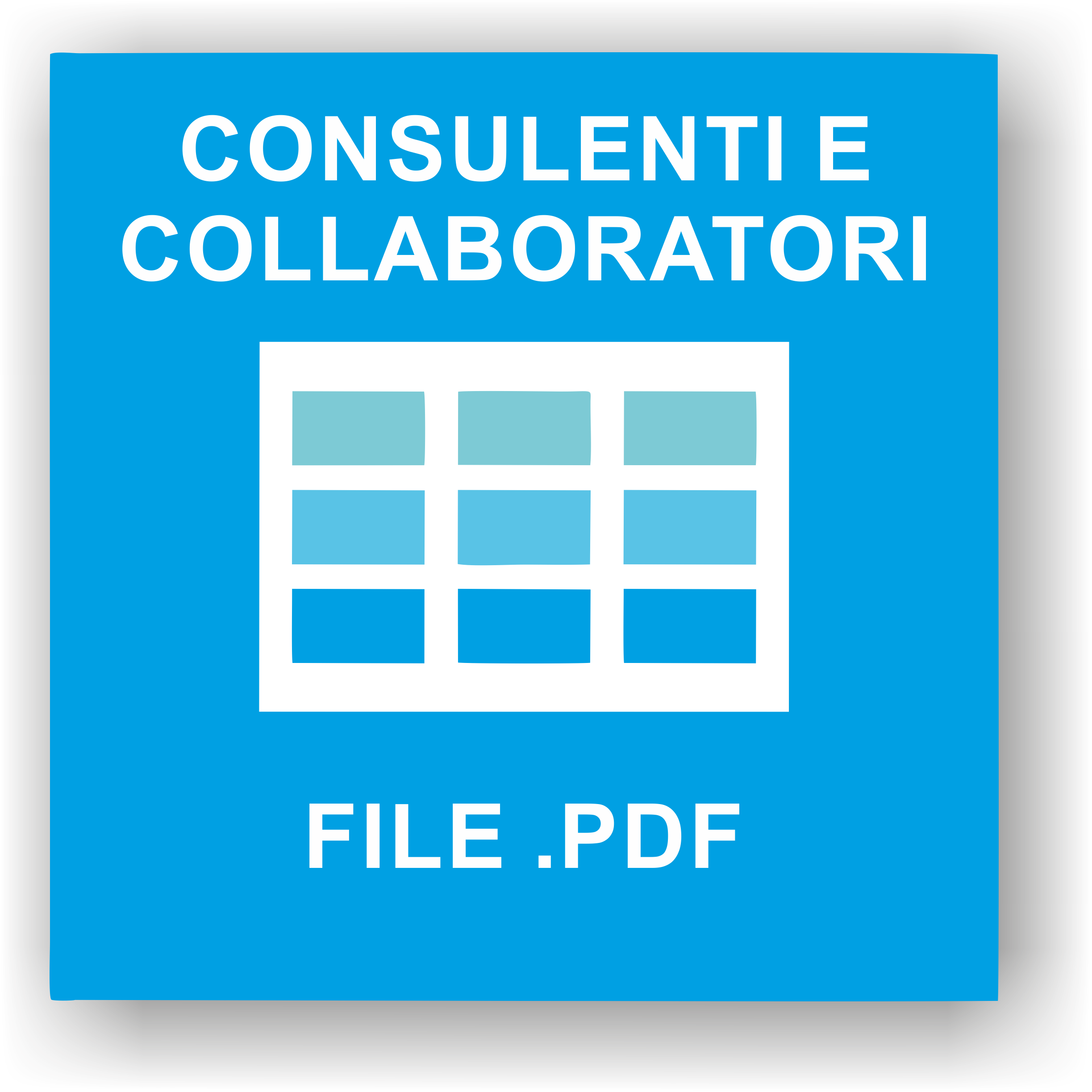 CONSUL PDF