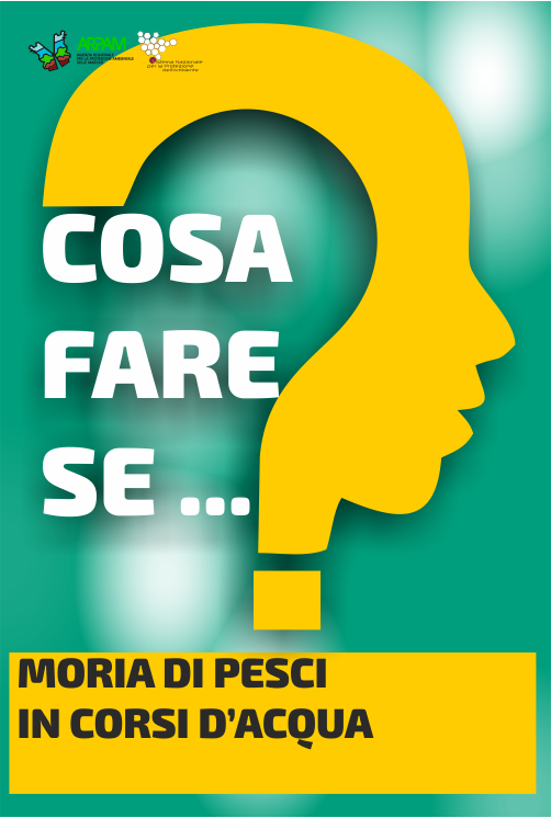 06 ICO MORIA PESCI