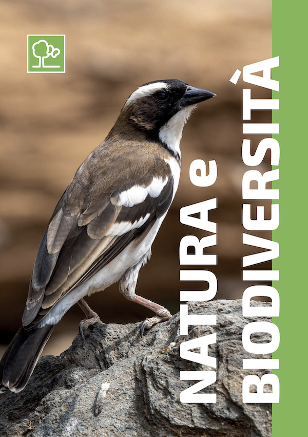 AM2026 NATURA