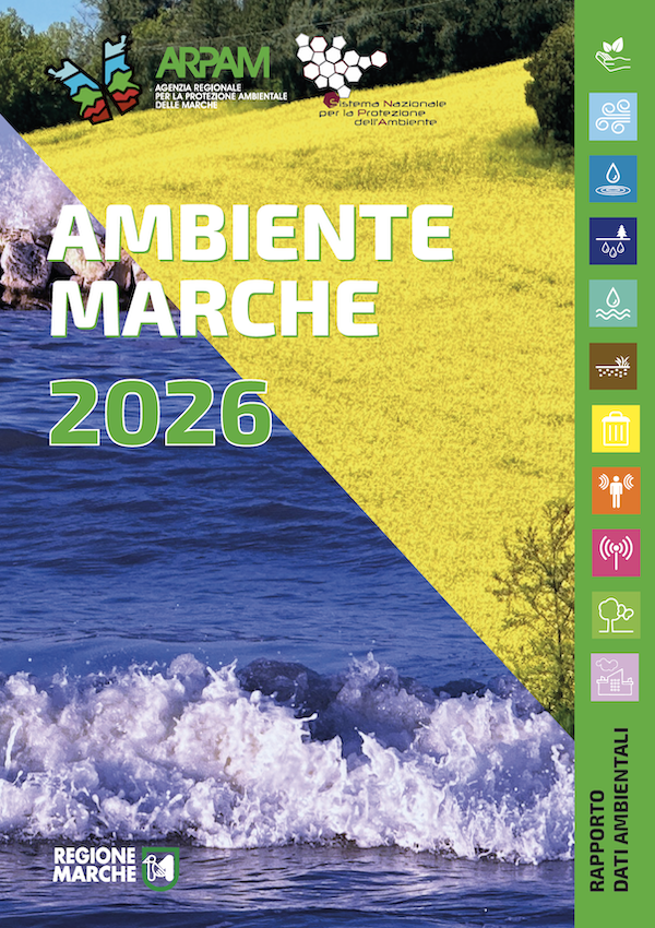 AM2026 copertina