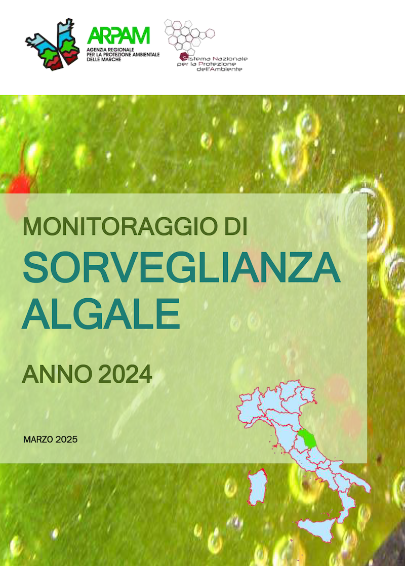 copertina algale 2024