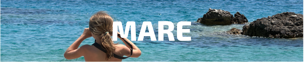 HEADER MARE