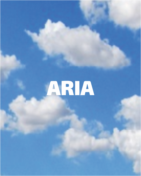 TEMI ARIA