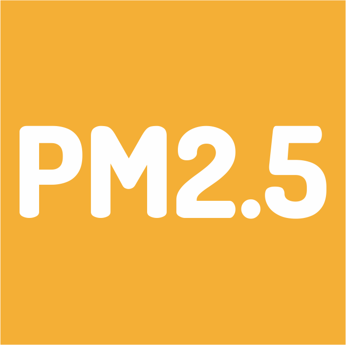 PM2 5