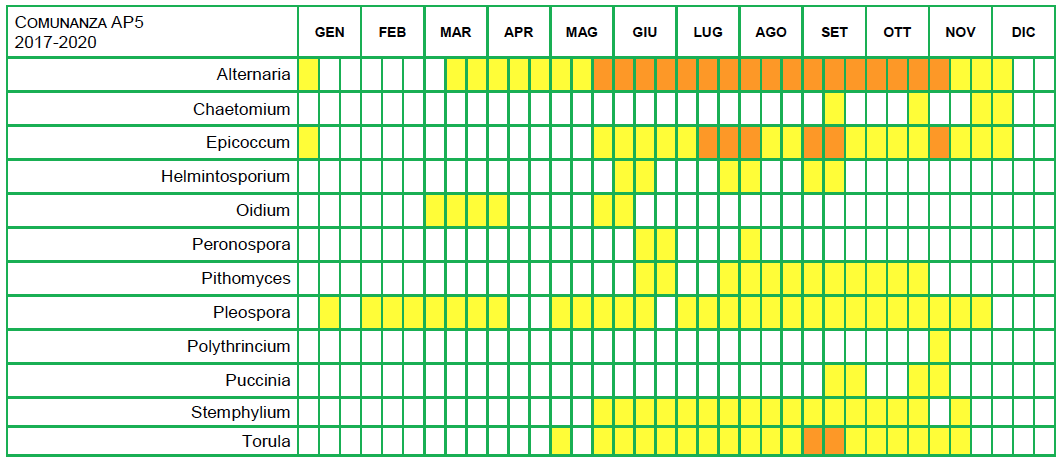 Pollini calendario AP5