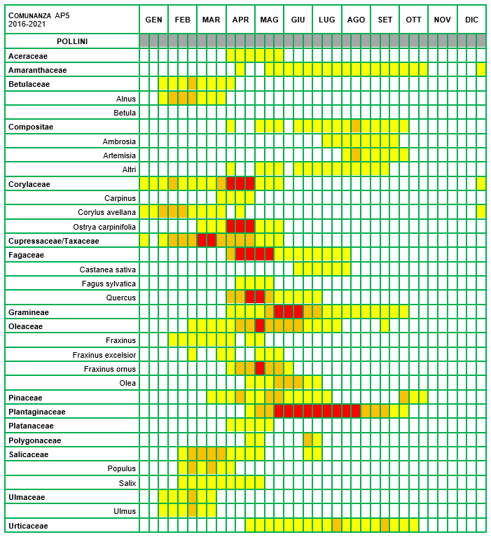 Calendario pollini AP5 2021