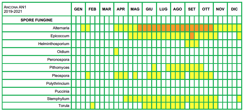 Pollini calendario AP5