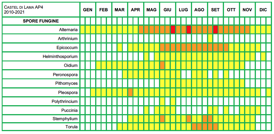 Pollini calendario AP4