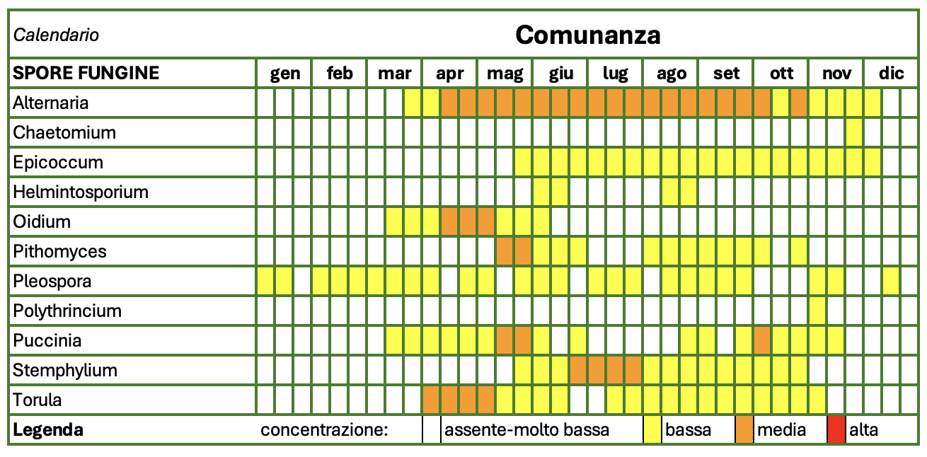 2022 CALENDARIO SPORE AP5