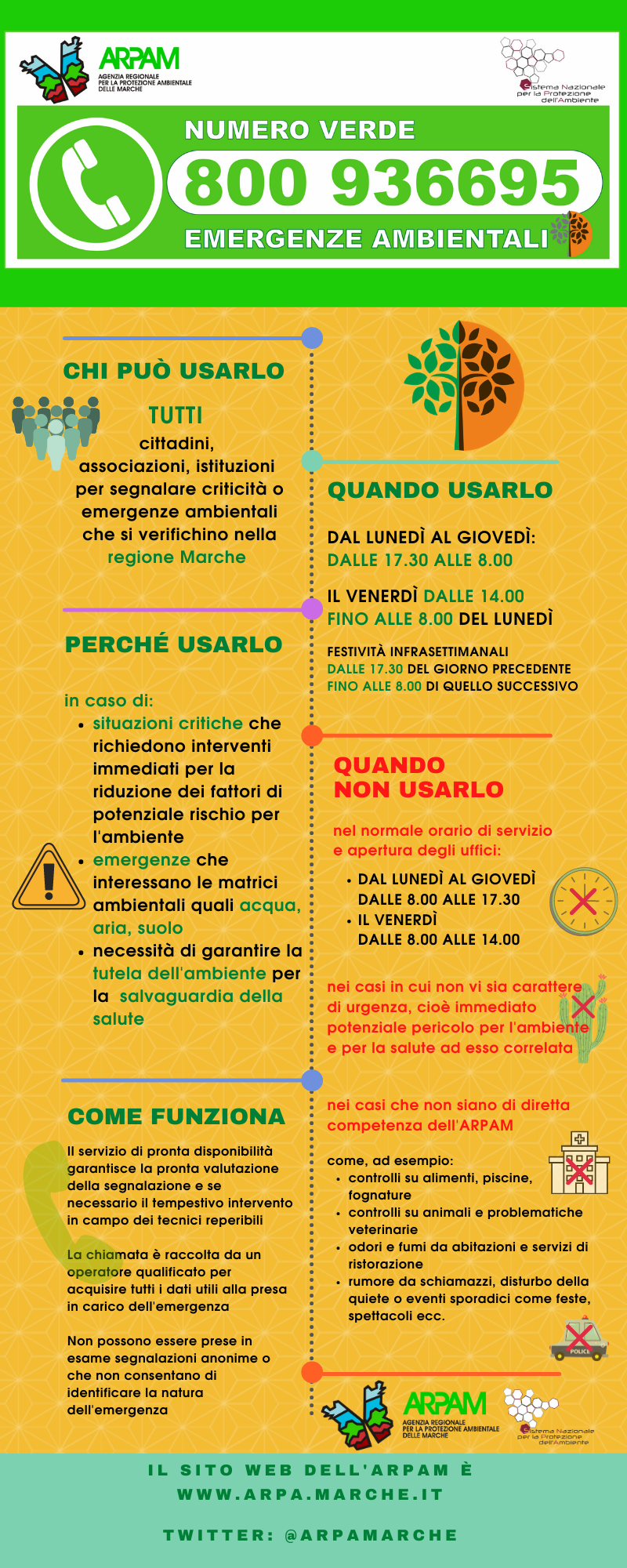 Numero verde infografica