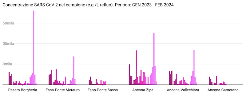 SARI grafico 2023 2024