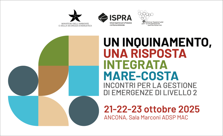 Incontri Ancona